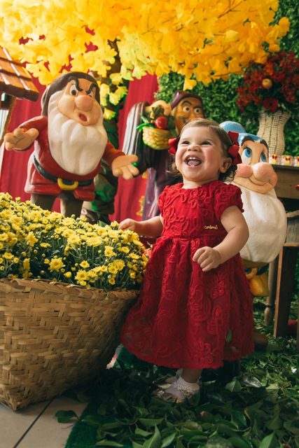 Aniversário Infantil 